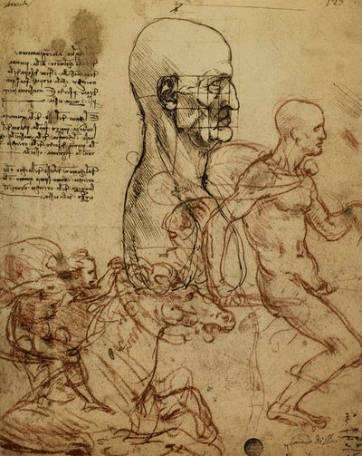 Study of Human Physiognomy and Horsemen for the Painting of the Battle of Anghiari by Leonardo da Vinci